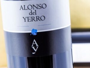 Alonso del Yerro 2014