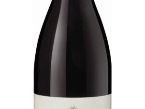 Pinot Noir