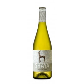 Shaya 2018